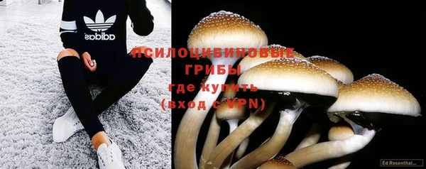 COCAINE Абаза