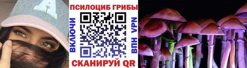 где купить наркоту Сычёвка Галлюциногенные грибы GOLDEN TEACHER