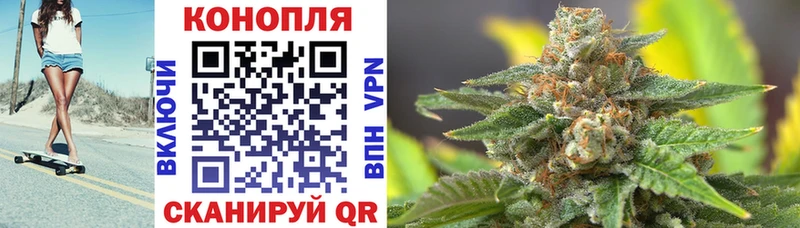где найти наркотики  Сычёвка  Бошки марихуана семена 